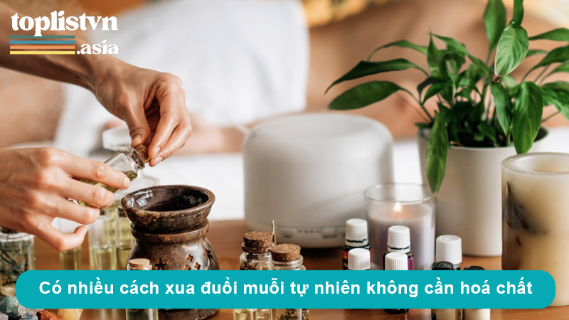 Có nhiều cách đuổi muỗi tự nhiên, không cần dùng hoá chất