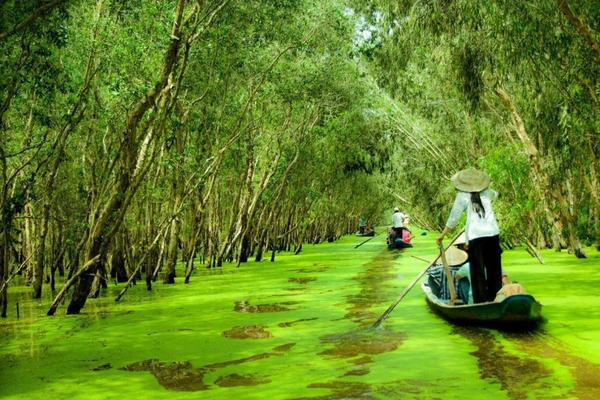 Rừng tràm Trà Sư - Địa điểm du lịch 2/9 thú vị